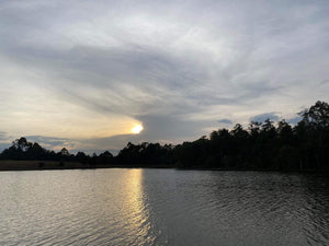 Khao Yai National Park